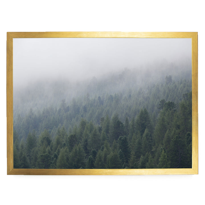 Misty Forest – fine art print in a gold frame, no mat