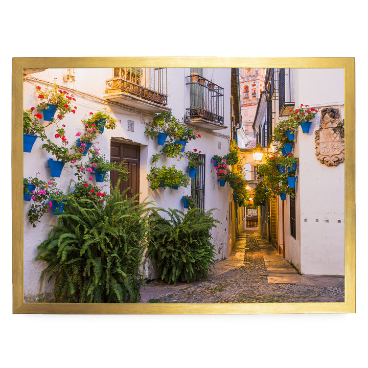 Flower Alley, Córdoba II, Spain – fine art print in a gold frame, no mat
