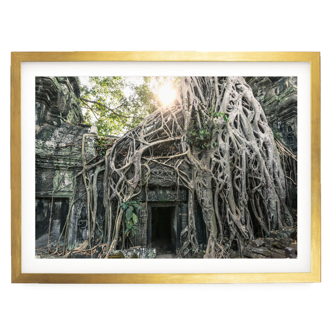 Jungle Temple, Angkor, Cambodia – fine art print in a gold frame with white mat