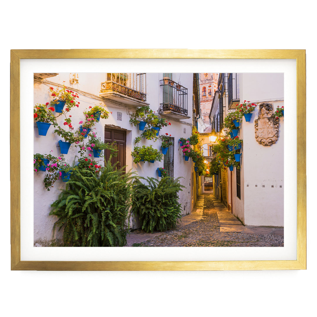 Flower Alley, Córdoba II, Spain – fine art print in a gold frame with white mat