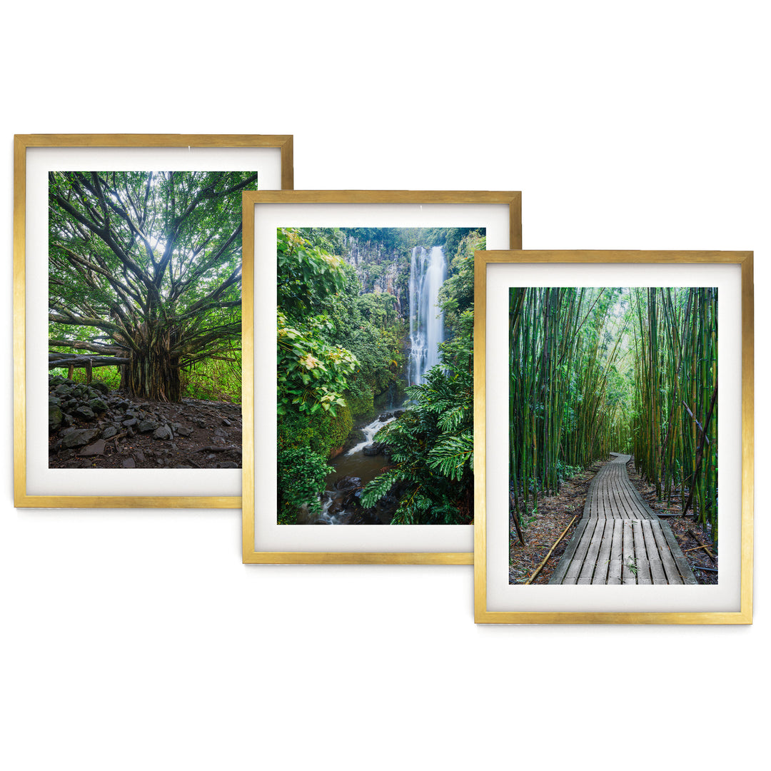 Hawaii Nature, Maui – Print Set – fine art print set in gold frames with white mats