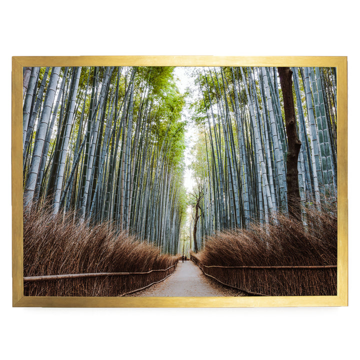 Bamboo Forest, Kyoto I, Japan – fine art print in a gold frame, no mat