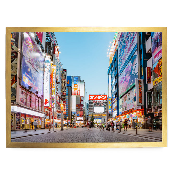Akihabara Electric Town, Tokyo, Japan – fine art print in a gold frame, no mat