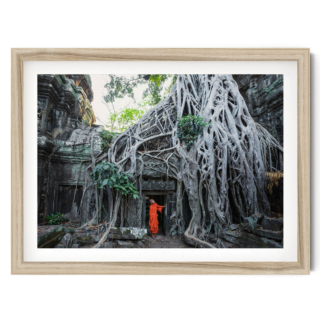 Monk at Ta Prohm, Angkor, Cambodia – fine art print in a natural frame with white mat
