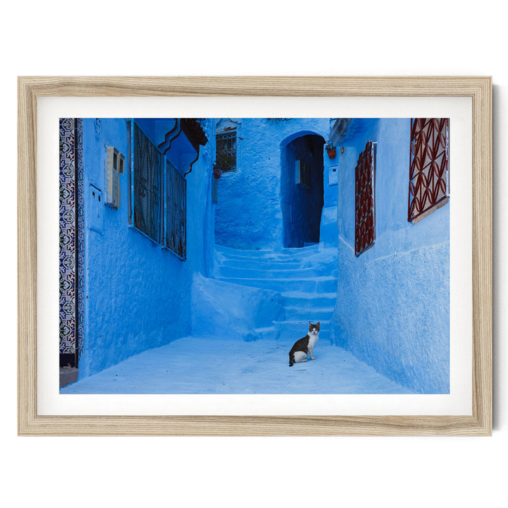 Cat in the Blue City, Chefchaouen, Morocco – fine art print in a natural frame with white mat