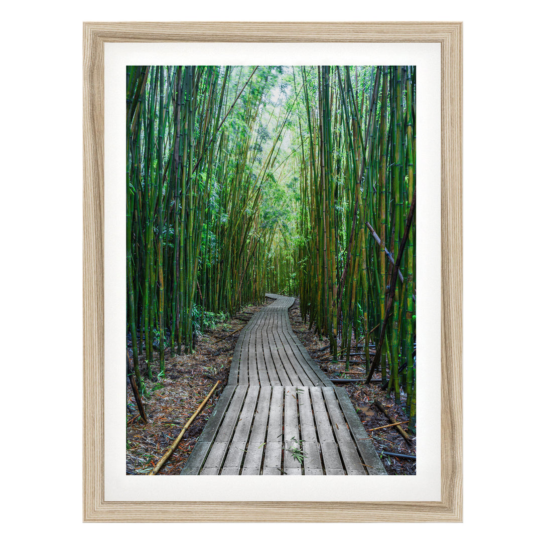 Maui Bamboo Forest II, Maui, Hawaii – fine art print in a natural frame with white mat