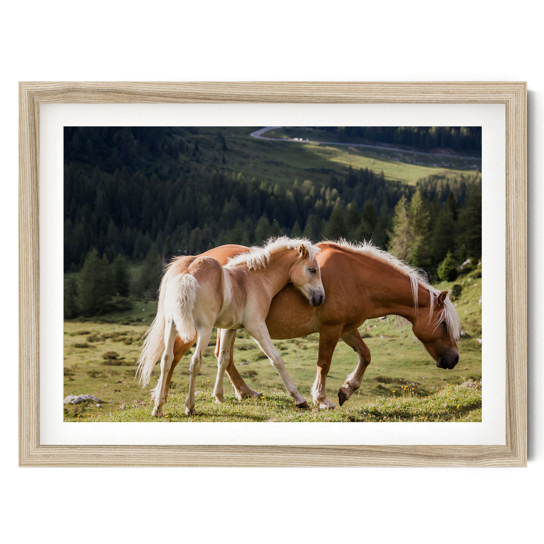 Wild Horses – fine art print in a natural frame with white mat