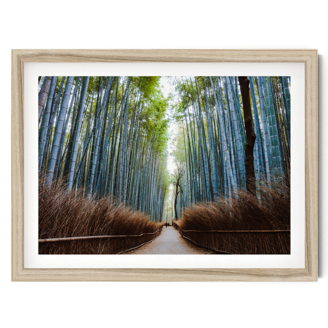 Bamboo Forest, Kyoto I, Japan – fine art print in a natural frame with white mat
