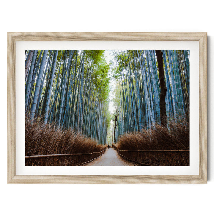 Bamboo Forest, Kyoto I, Japan – fine art print in a natural frame with white mat
