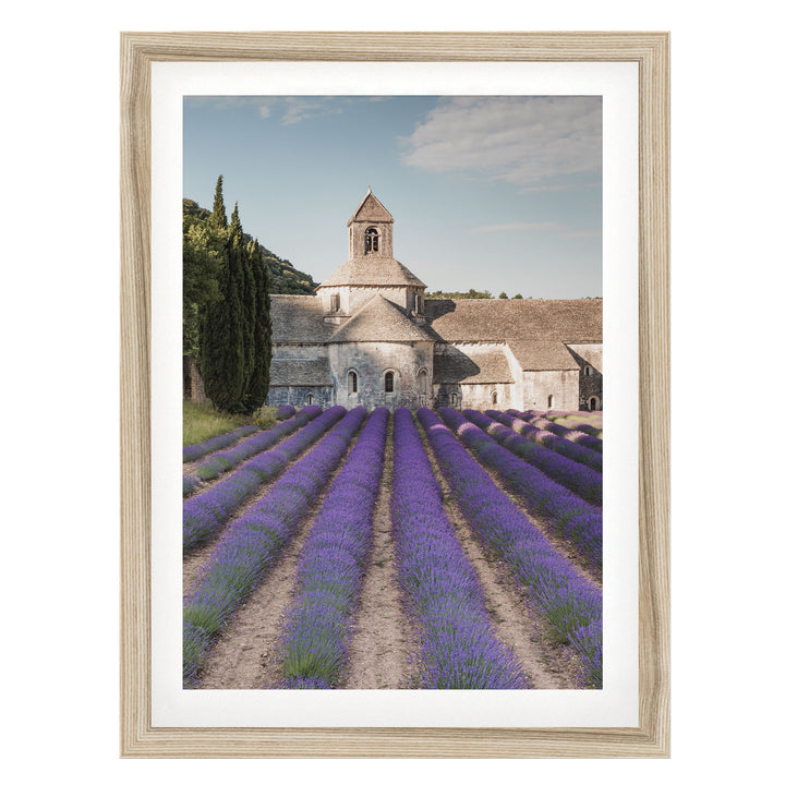 Sénanque Abbey, Provence, France – fine art print in a natural frame with white mat