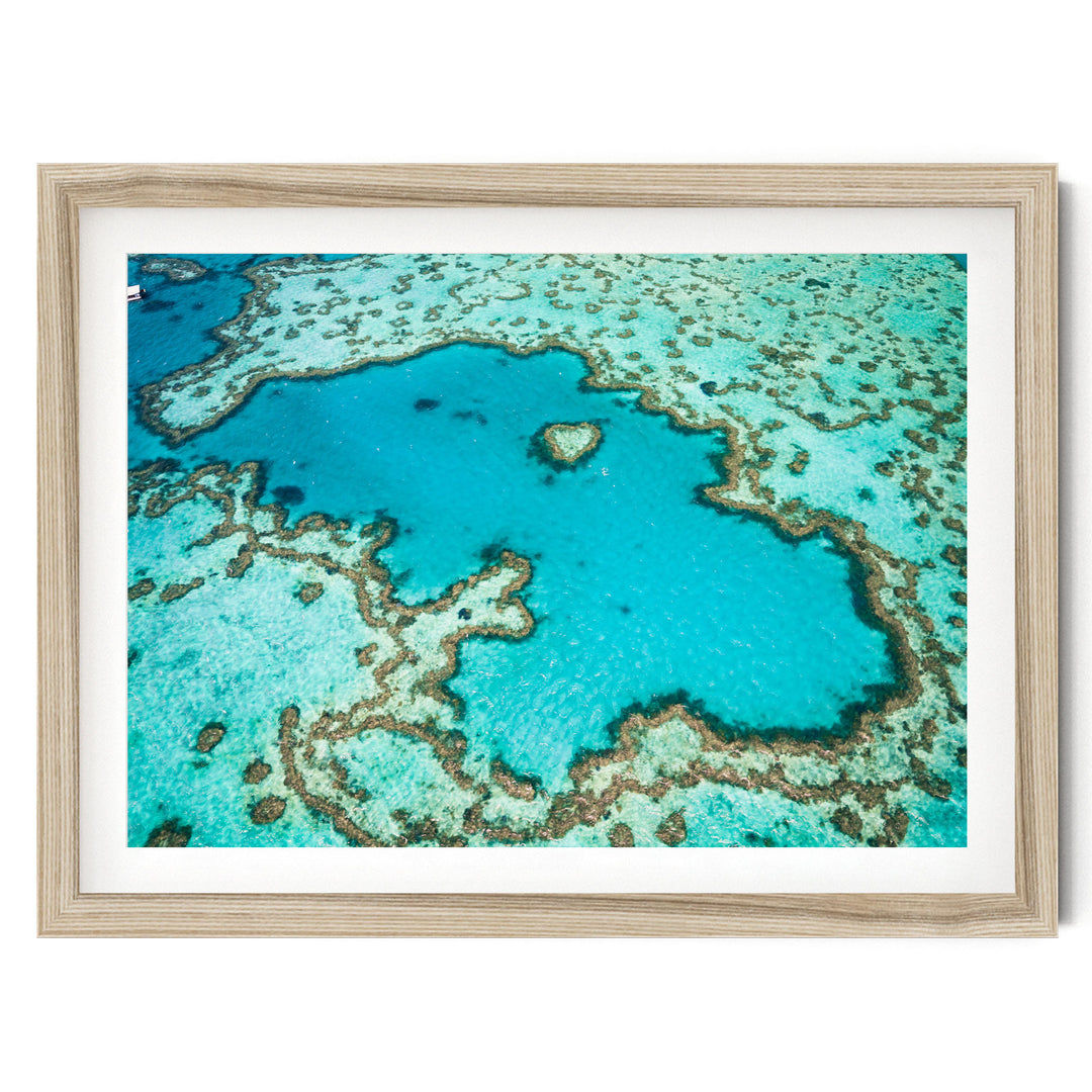 Great Barrier Reef, Queensland, Australia – fine art print in a natural frame with white mat