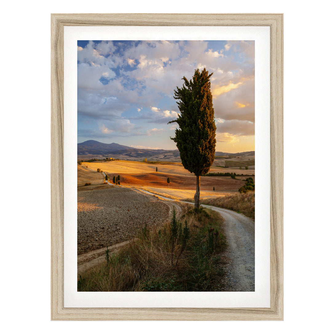 Tuscany at Sunset, Italy – fine art print in a natural frame with white mat