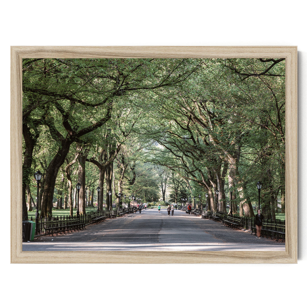 The Mall, Central Park, New York City – fine art print in a natural frame, no mat