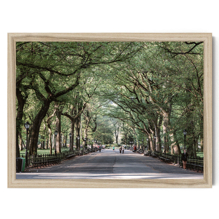 The Mall, Central Park, New York City – fine art print in a natural frame, no mat