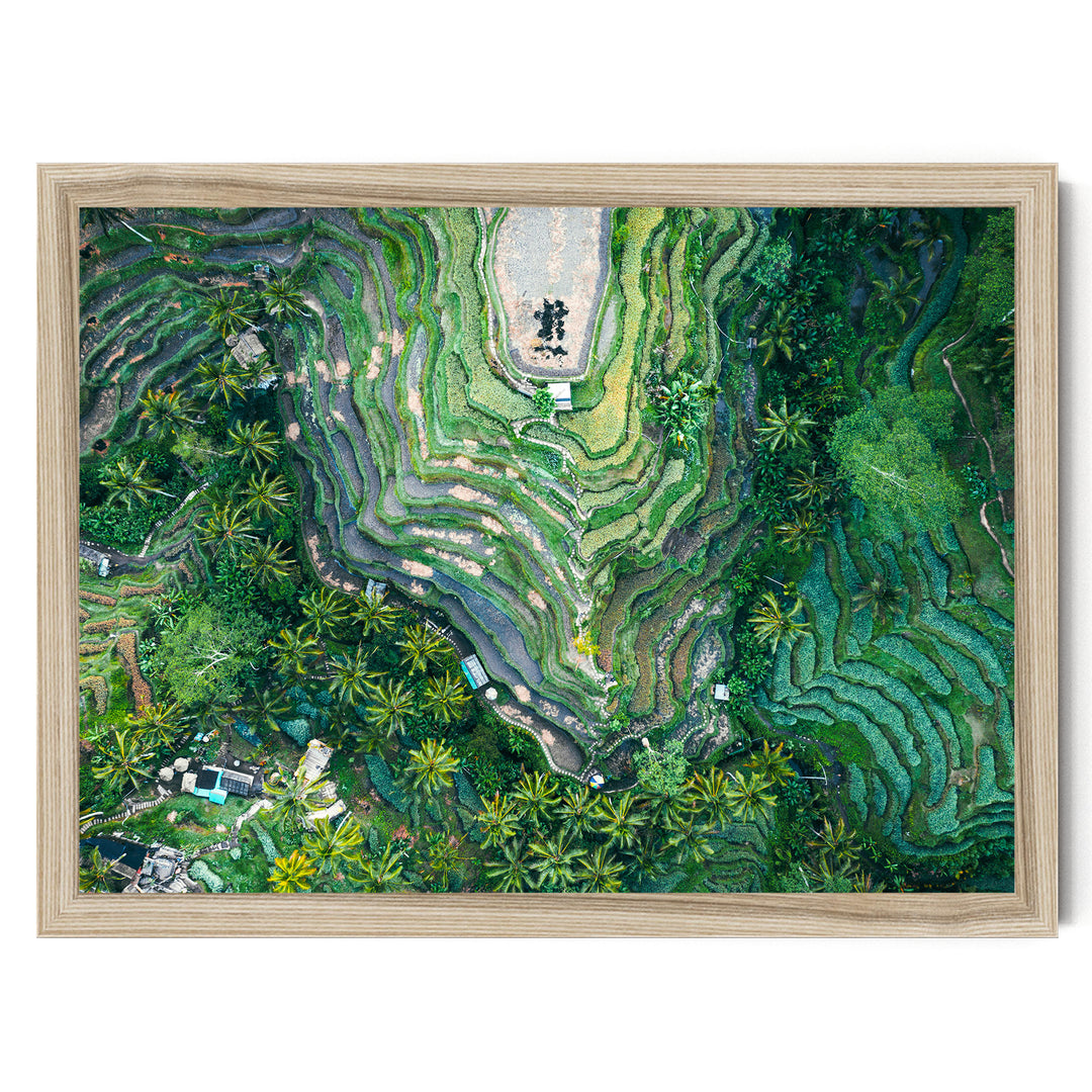 Rice Paddy, Bali I, Indonesia – fine art print in a natural frame, no mat
