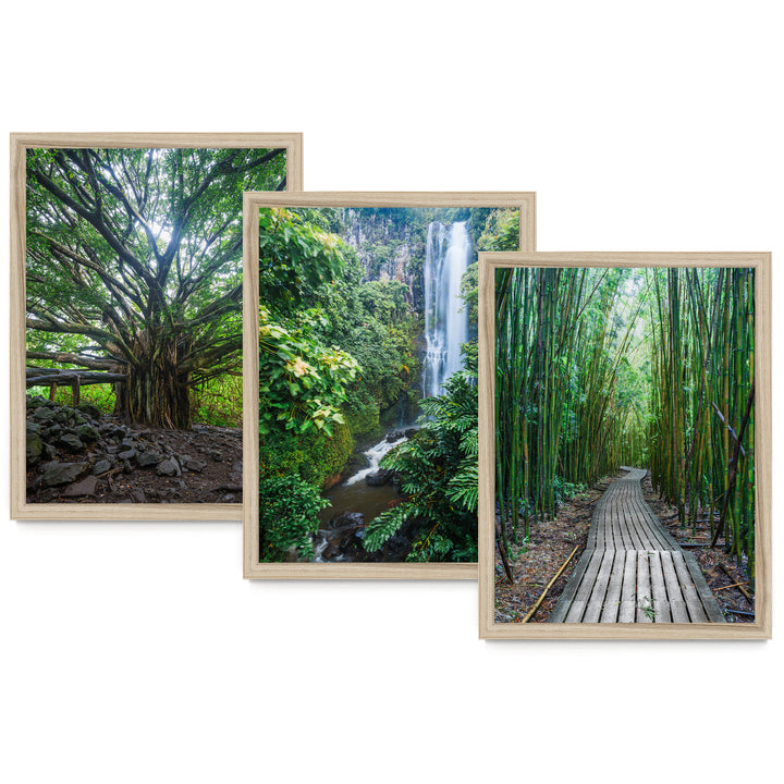 Hawaii Nature, Maui – Print Set – fine art print set in natural frames, no mat