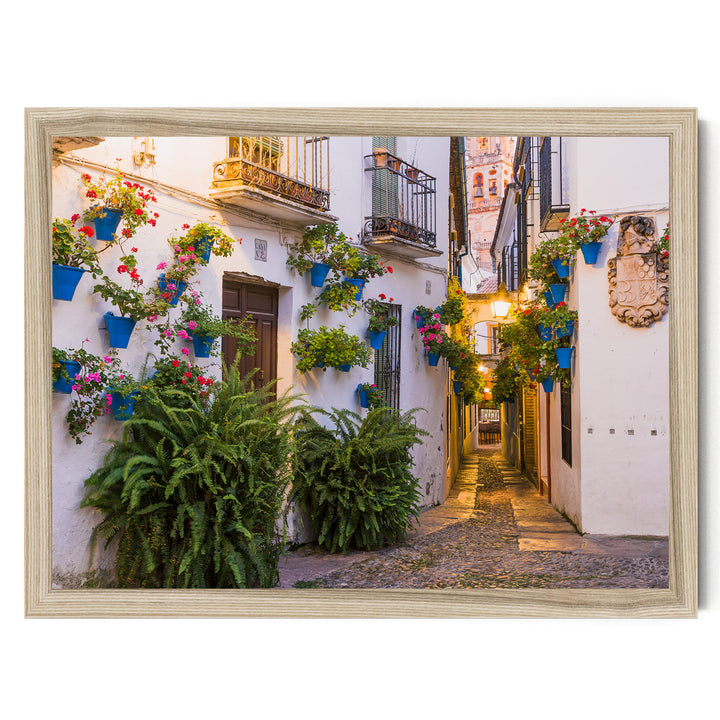 Flower Alley, Córdoba II, Spain – fine art print in a natural frame, no mat