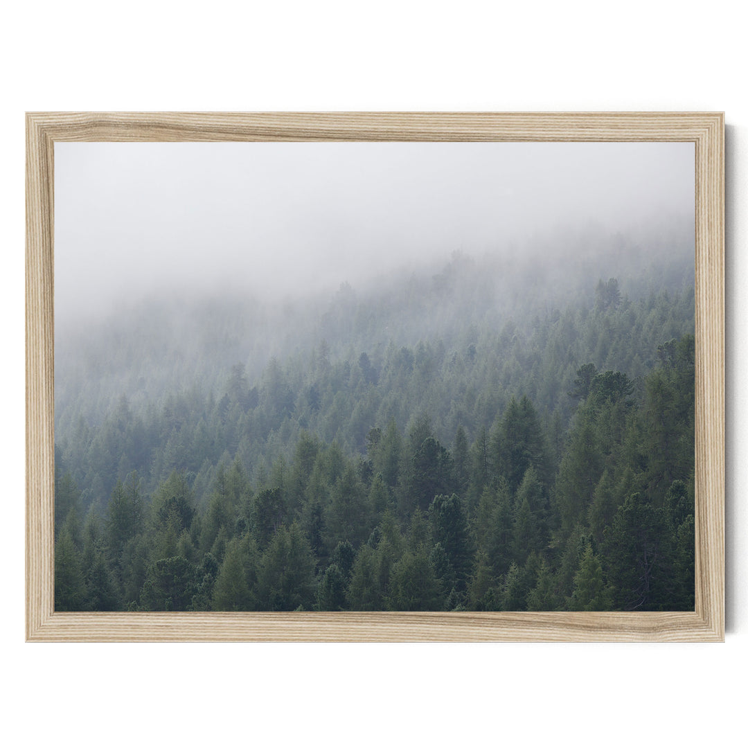 Misty Forest – fine art print in a natural frame, no mat