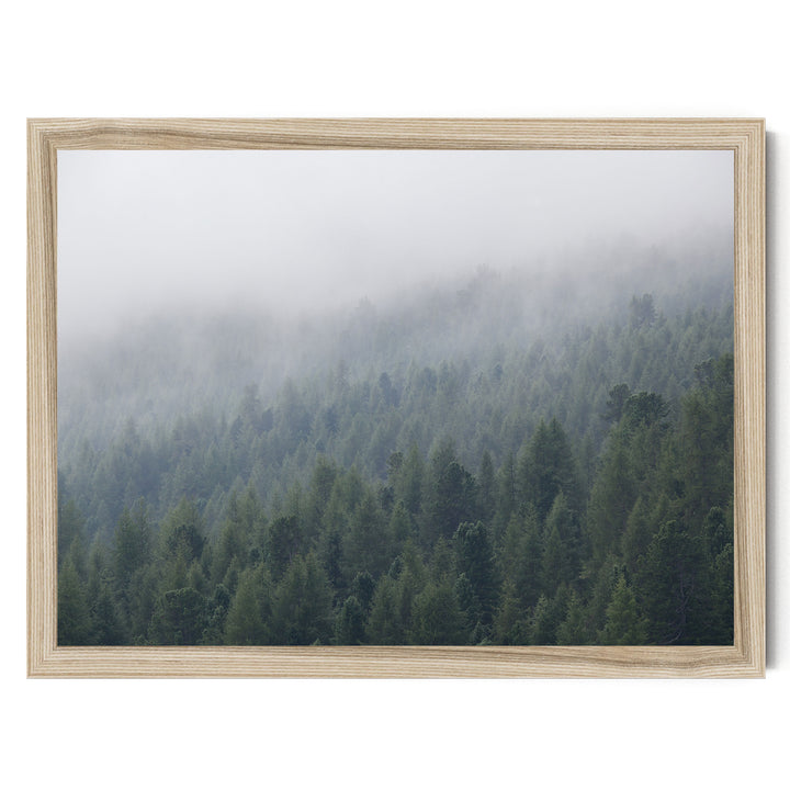Misty Forest – fine art print in a natural frame, no mat