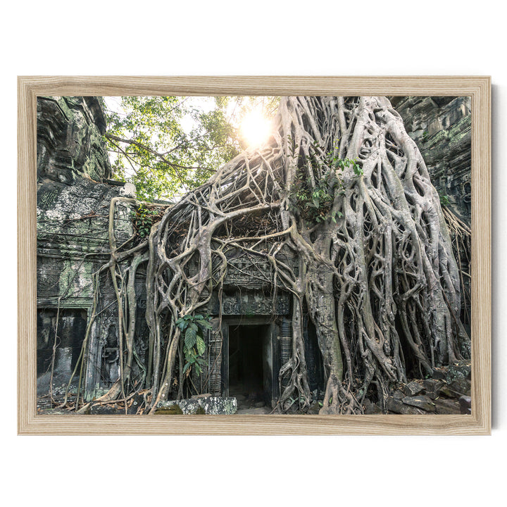 Jungle Temple, Angkor, Cambodia – fine art print in a natural frame, no mat