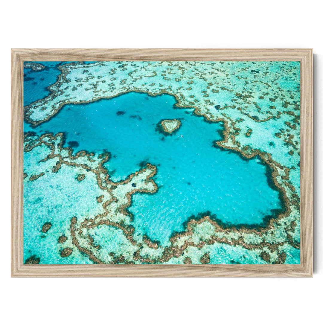Great Barrier Reef, Queensland, Australia – fine art print in a natural frame, no mat