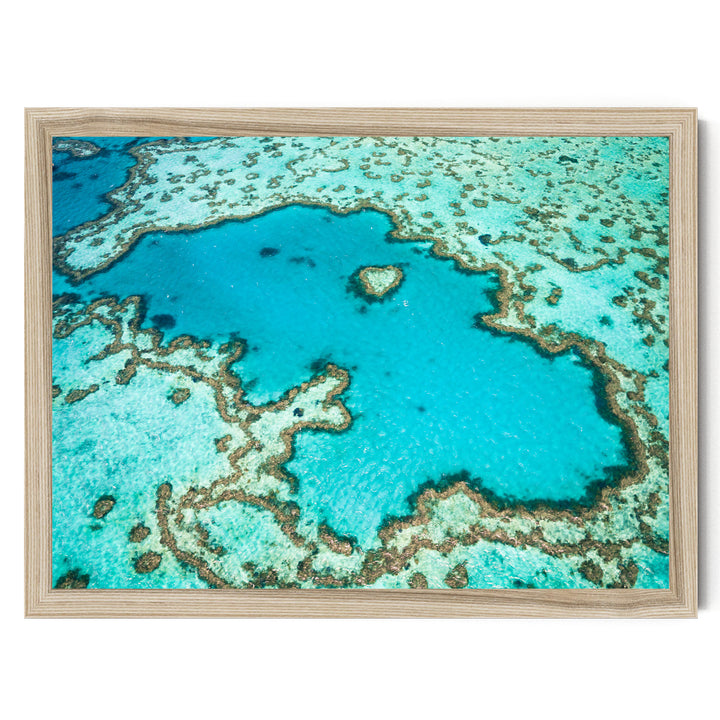 Great Barrier Reef, Queensland, Australia – fine art print in a natural frame, no mat