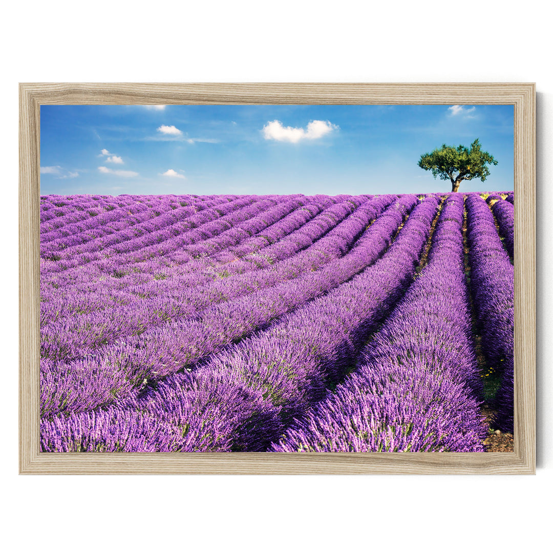 Summer in Provence, France – fine art print in a natural frame, no mat