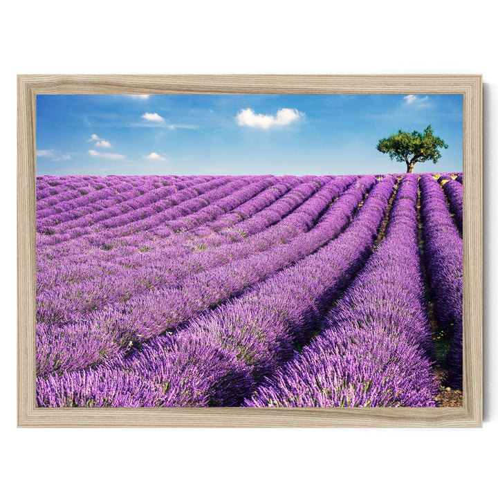 Summer in Provence, France – fine art print in a natural frame, no mat