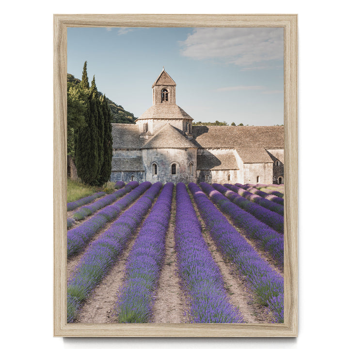 Sénanque Abbey, Provence, France – fine art print in a natural frame, no mat