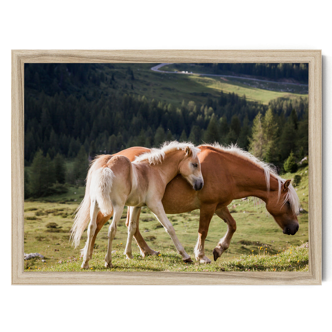 Wild Horses – fine art print in a natural frame, no mat