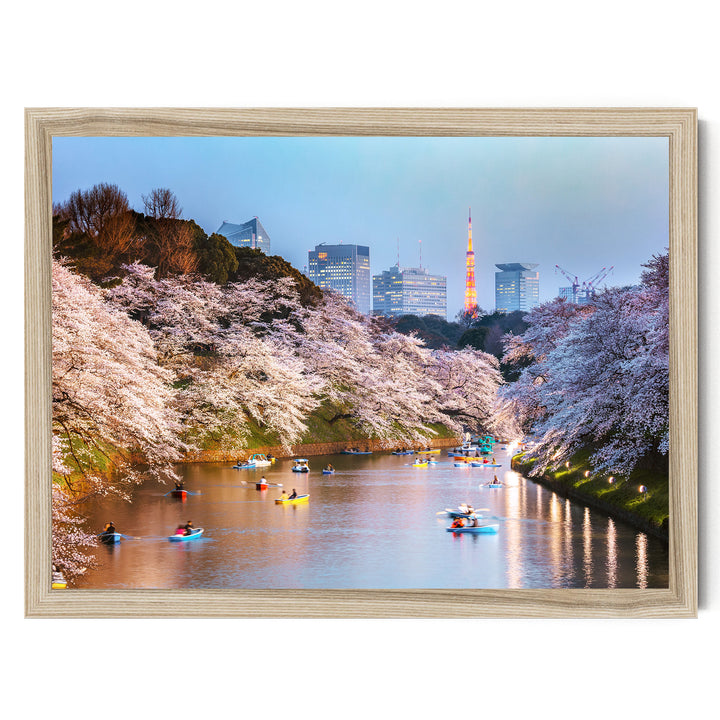 Cherry Blossoms in Tokyo, Japan – fine art print in a natural frame, no mat