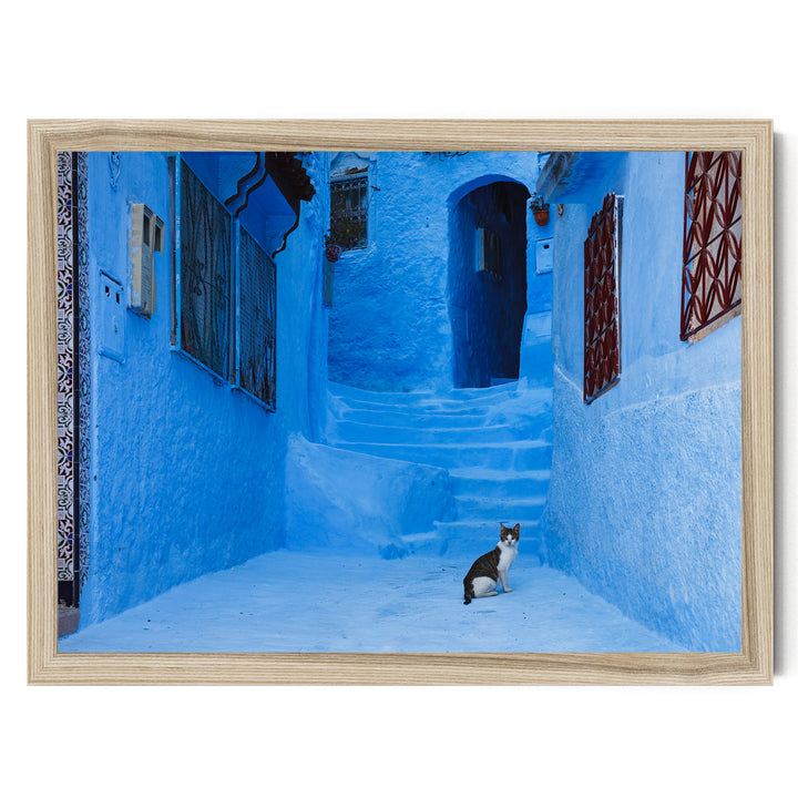 Cat in the Blue City, Chefchaouen, Morocco – fine art print in a natural frame, no mat