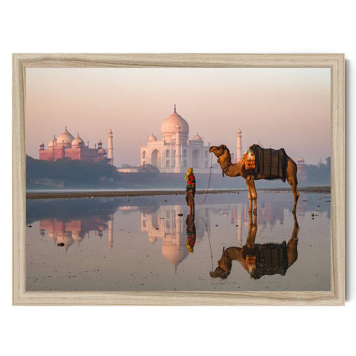 Camel at Taj Mahal, Agra, India – fine art print in a natural frame, no mat