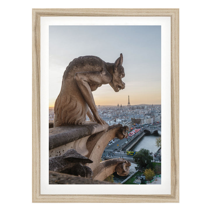 Notre-Dame Gargoyle, Paris, France – fine art print in a natural frame with white mat
