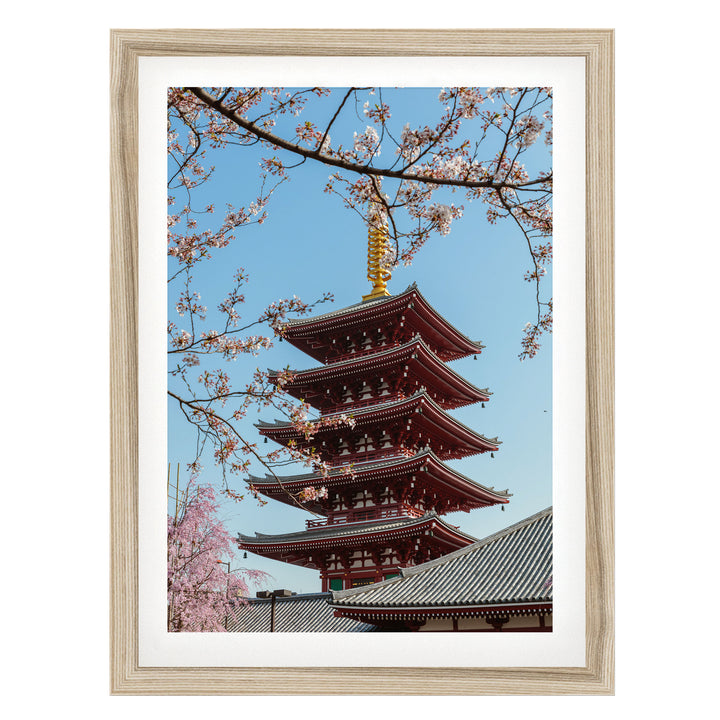 Asakusa Pagoda, Tokyo, Japan – fine art print in a natural frame with white mat