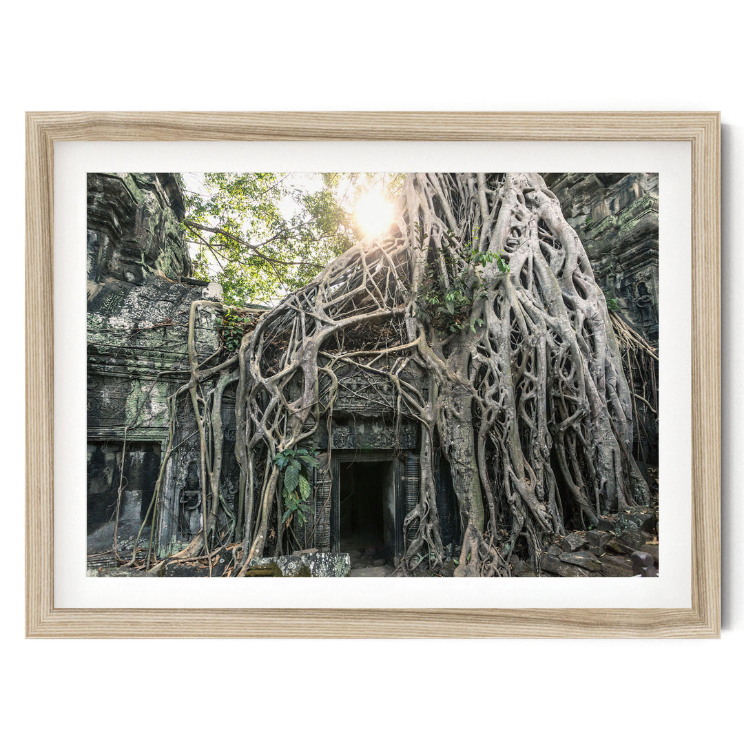 Jungle Temple, Angkor, Cambodia – fine art print in a natural frame with white mat