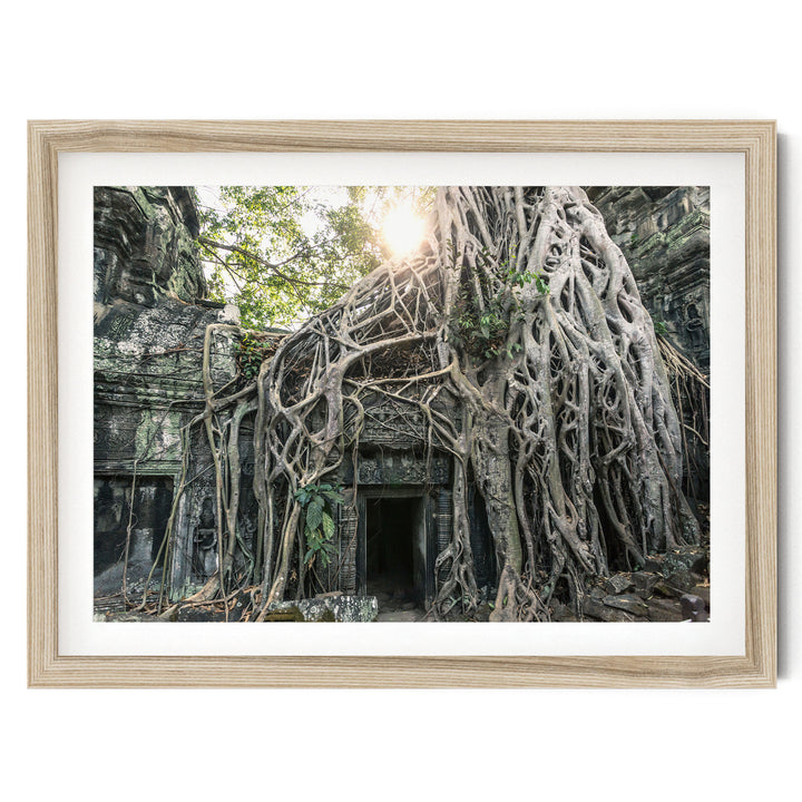Jungle Temple, Angkor, Cambodia – fine art print in a natural frame with white mat