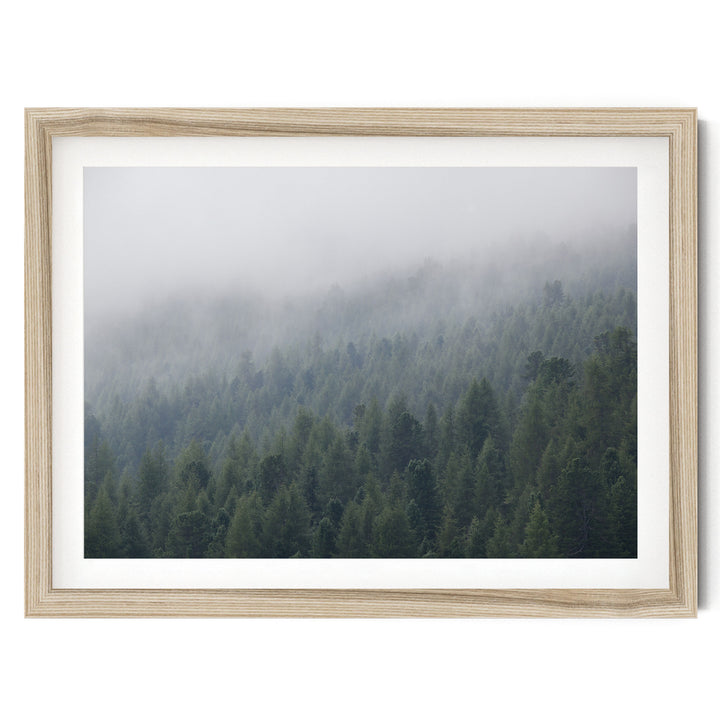 Misty Forest – fine art print in a natural frame with white mat
