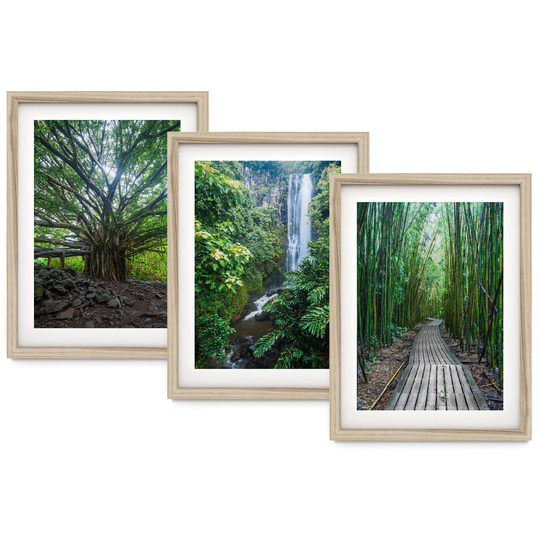 Hawaii Nature, Maui – Print Set – fine art print set in natural frames with white mats
