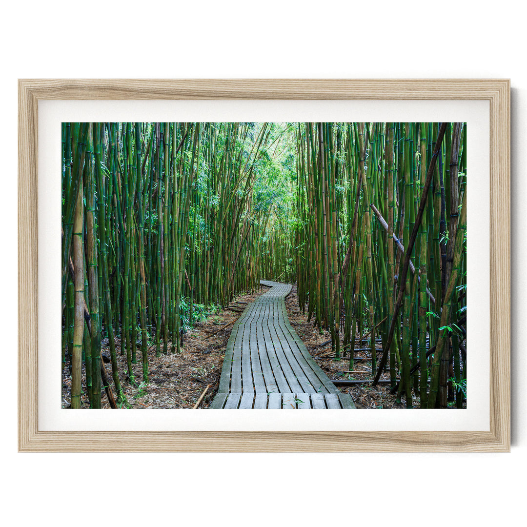 Maui Bamboo Forest I, Maui, Hawaii – fine art print in a natural frame with white mat