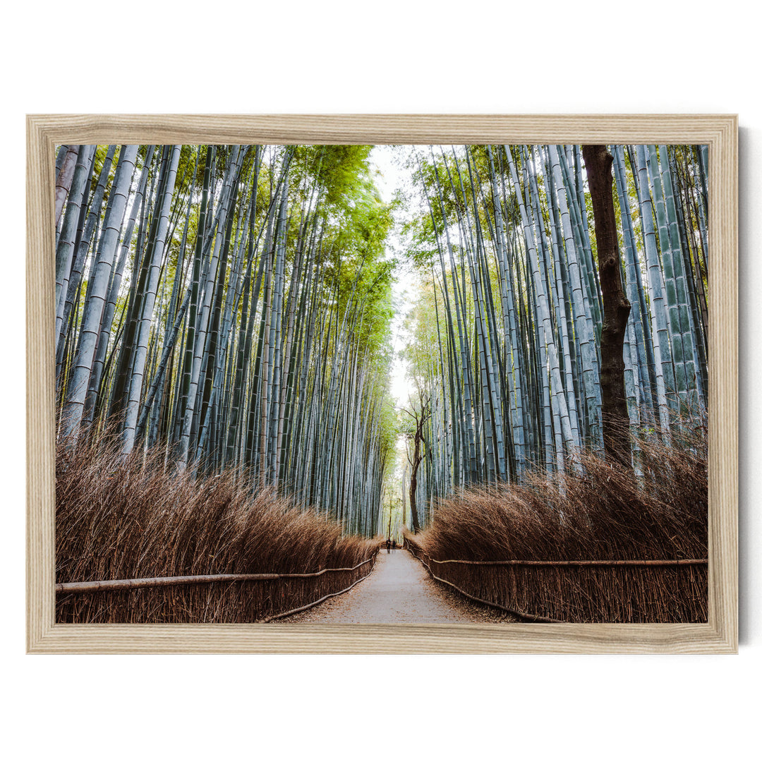 Bamboo Forest, Kyoto I, Japan – fine art print in a natural frame, no mat