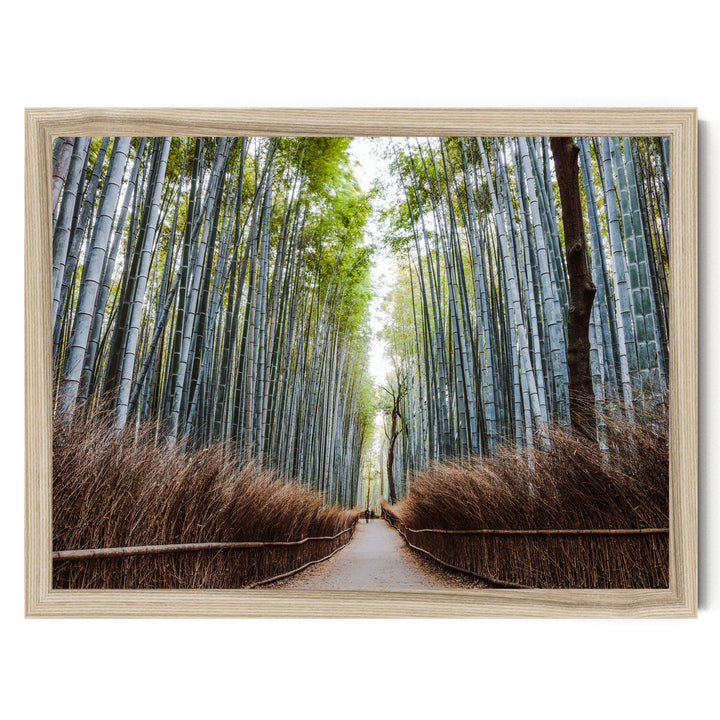 Bamboo Forest, Kyoto I, Japan – fine art print in a natural frame, no mat