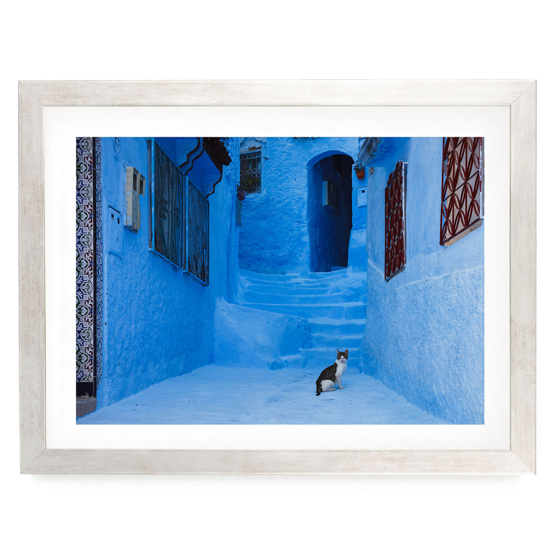 Cat in the Blue City, Chefchaouen, Morocco – fine art print in a silver frame with white mat