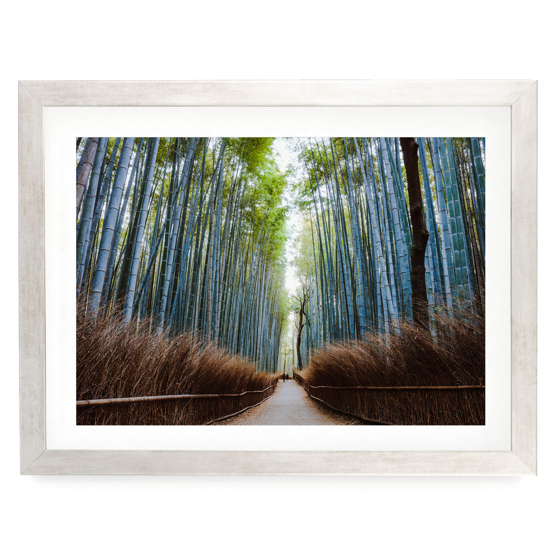 Bamboo Forest, Kyoto I, Japan – fine art print in a silver frame with white mat