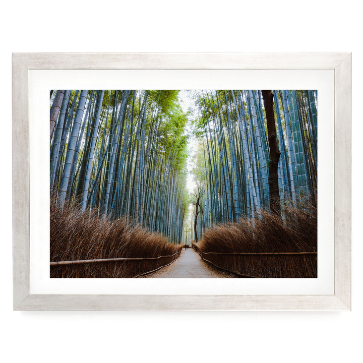 Bamboo Forest, Kyoto I, Japan – fine art print in a silver frame with white mat
