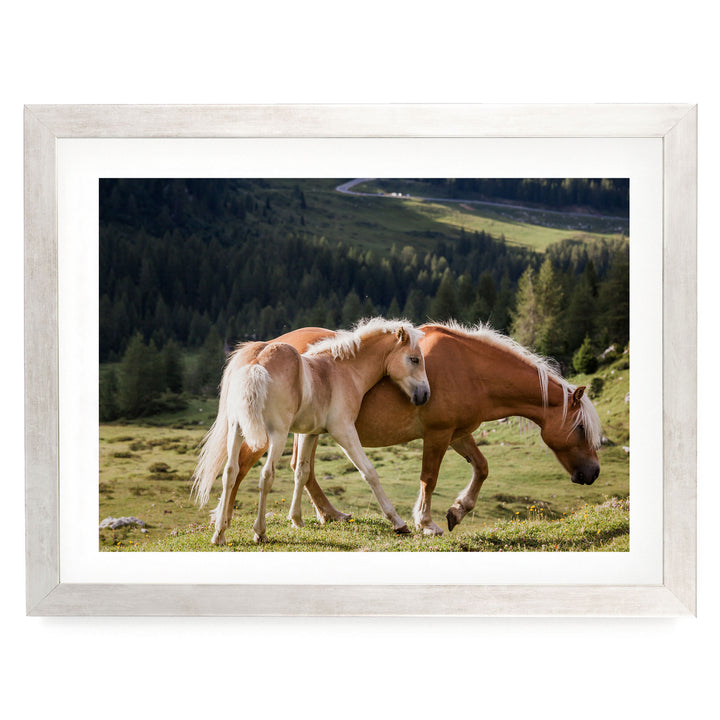 Wild Horses – fine art print in a silver frame with white mat