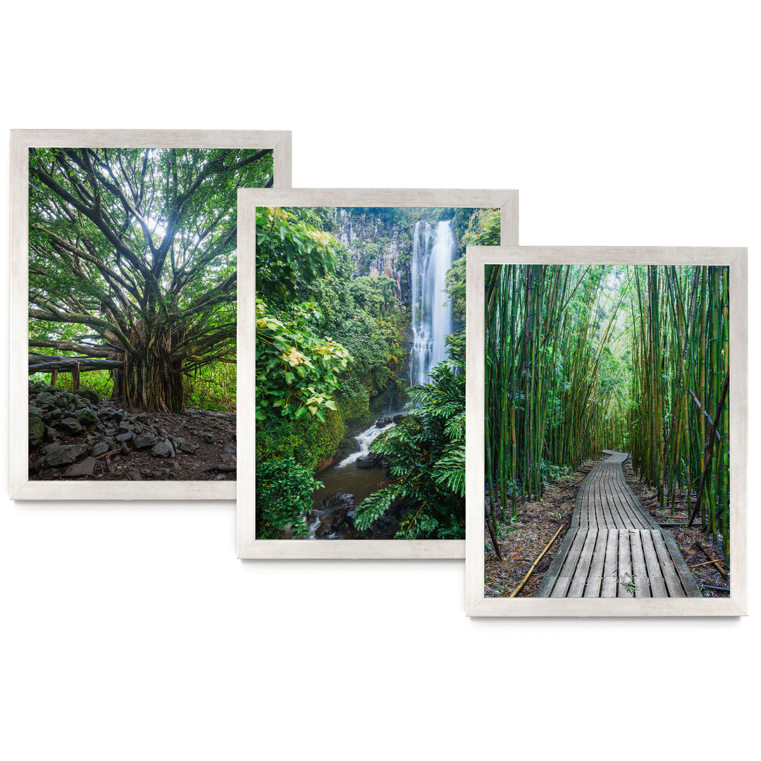 Hawaii Nature, Maui – Print Set – fine art print set in silver frames, no mat