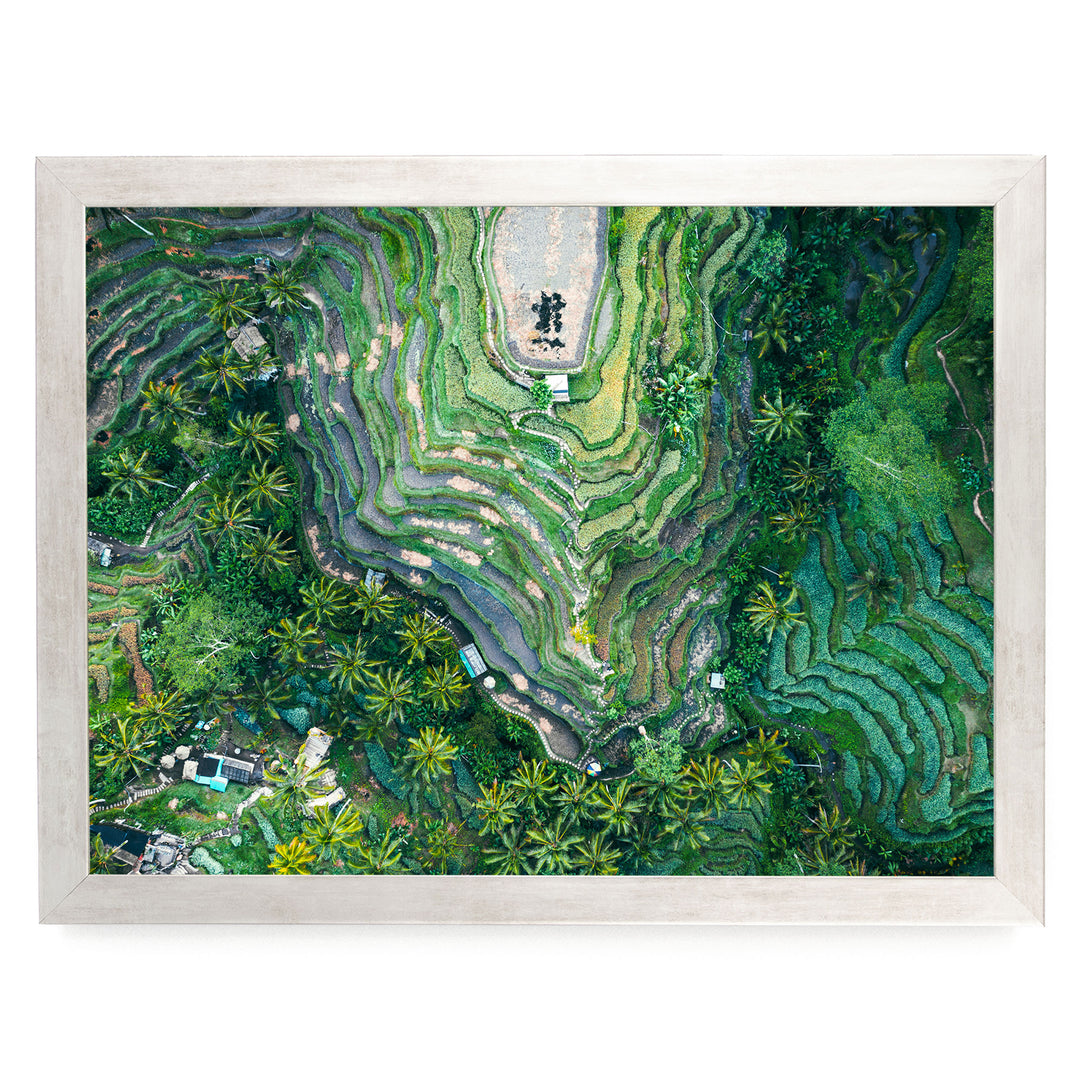 Rice Paddy, Bali I, Indonesia – fine art print in a silver frame, no mat