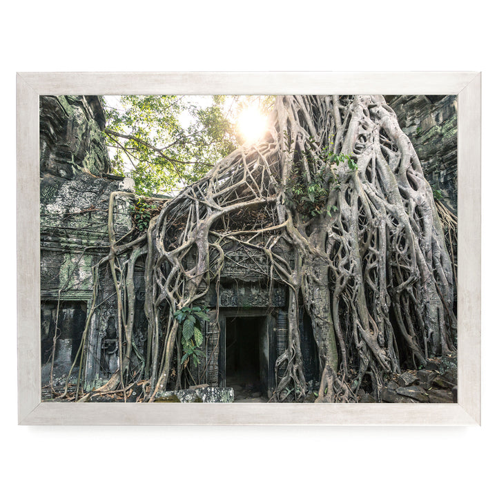 Jungle Temple, Angkor, Cambodia – fine art print in a silver frame, no mat