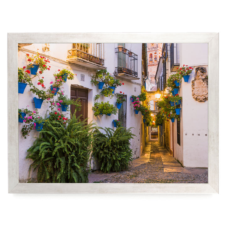 Flower Alley, Córdoba II, Spain – fine art print in a silver frame, no mat